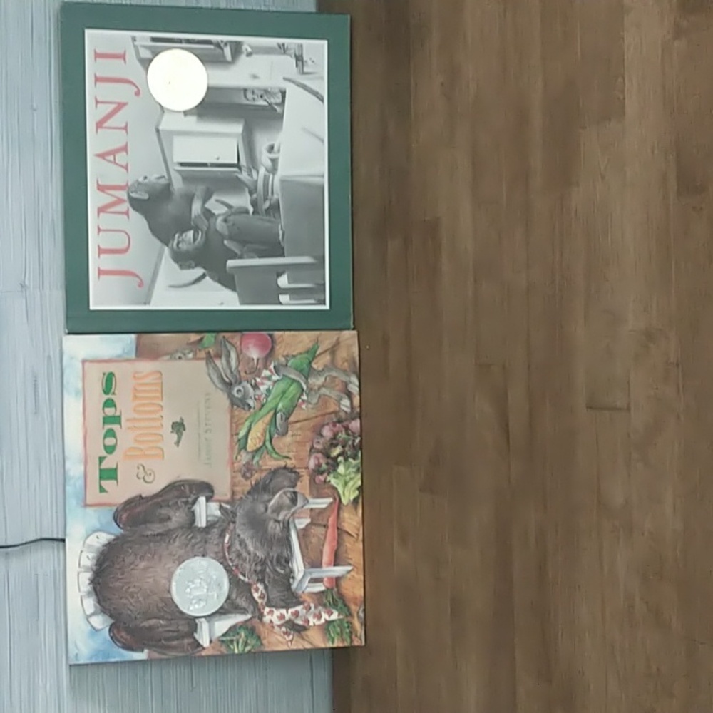Children's picture books